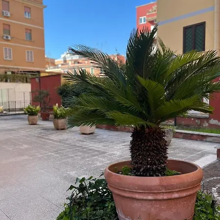 Life Is Apartamento